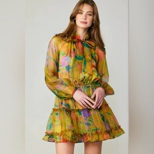 Current Air Floral Organza Mini Dress, NWT, size M